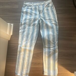 American Eagle Outfitters Light Blue and White Striped Pants